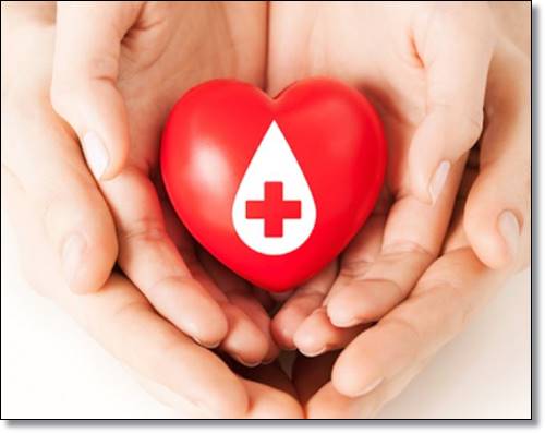 타투문신후 헌혈